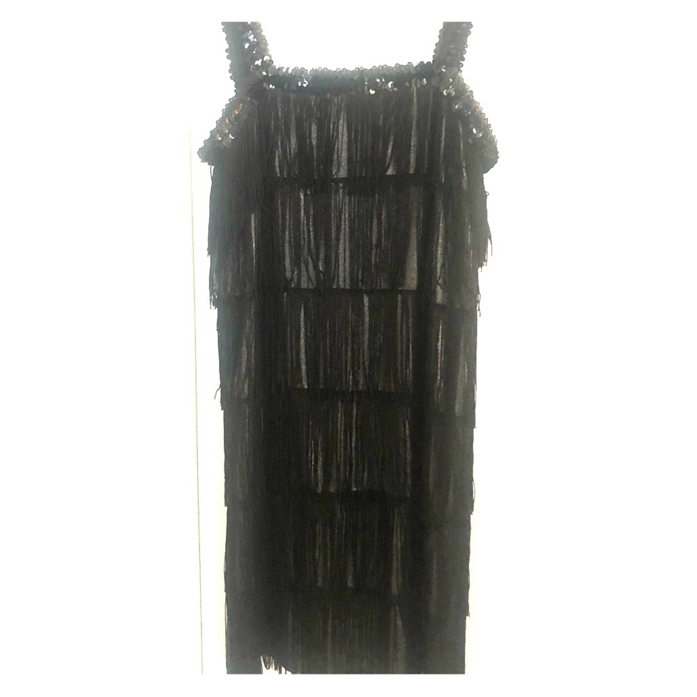 NWT! 20s Flapper Dress